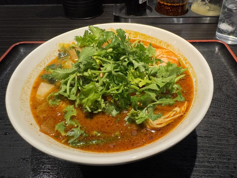 宇都宮麻辣湯案内|本場系〜手軽派まで3店舗+番外編を実食レビュー